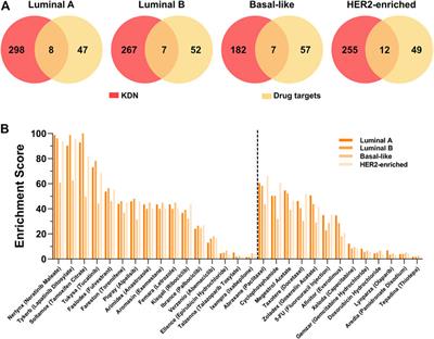 Analysis of Breast Cancer Based on the Dysregulated Network